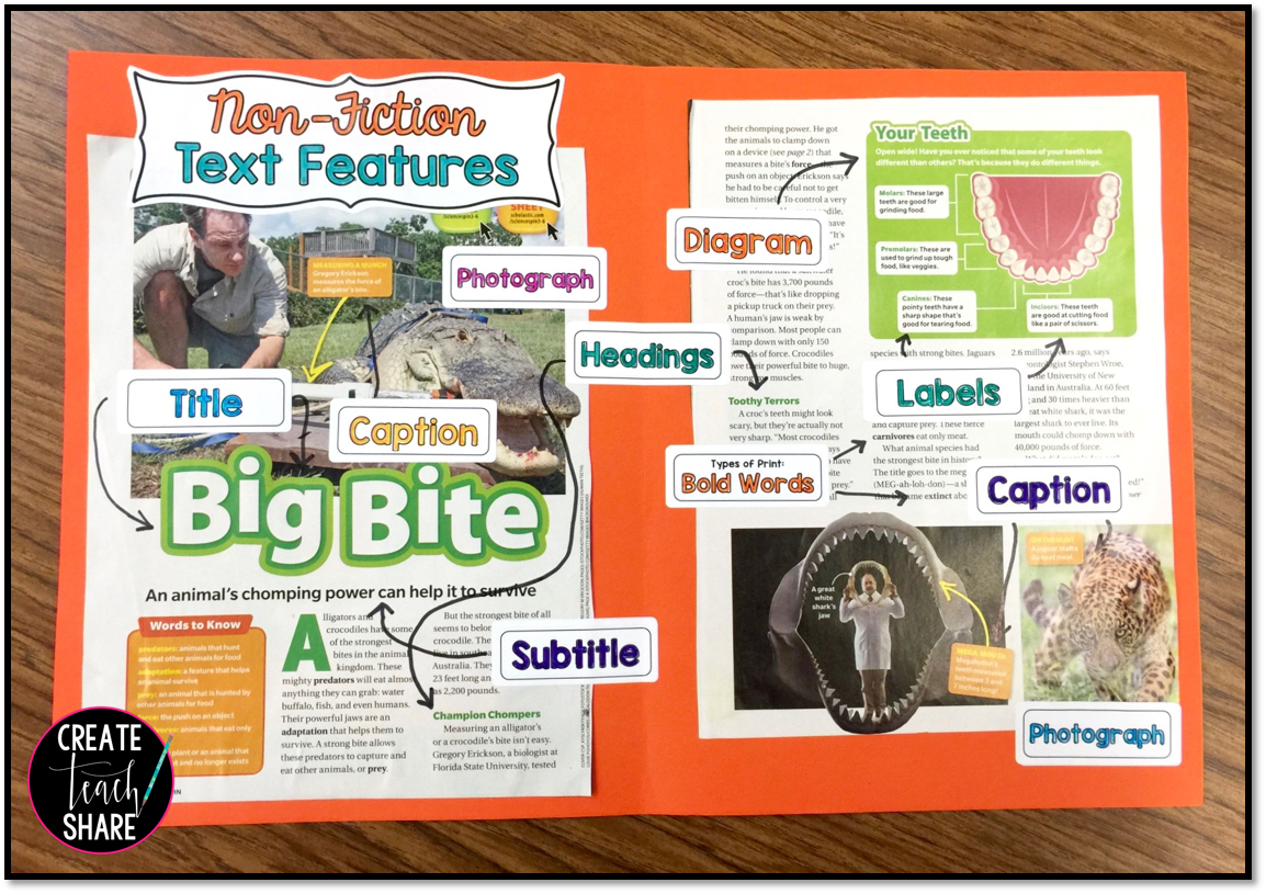 DIY Text Feature Posters Create Teach Share